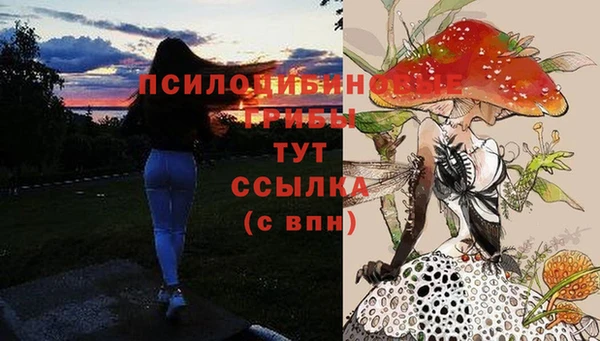 кристаллы Осташков