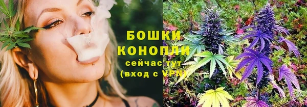 ПСИЛОЦИБИНОВЫЕ ГРИБЫ Балабаново