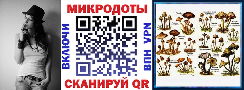 дарнет шоп Калининец Псилоцибиновые грибы GOLDEN TEACHER