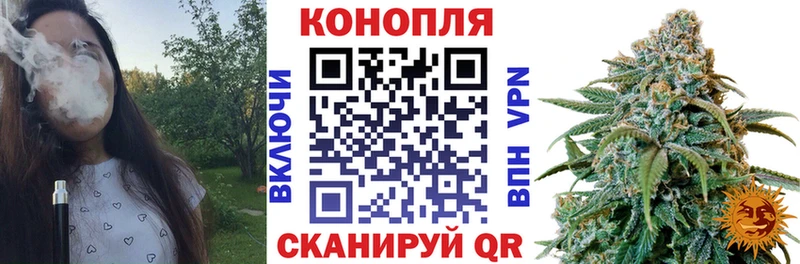 Бошки Шишки ГИДРОПОН omg зеркало Калининец